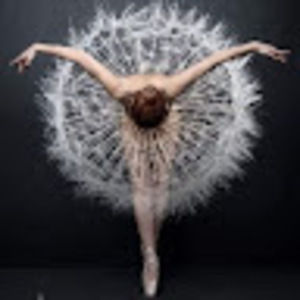 Meet your Posher, Luz